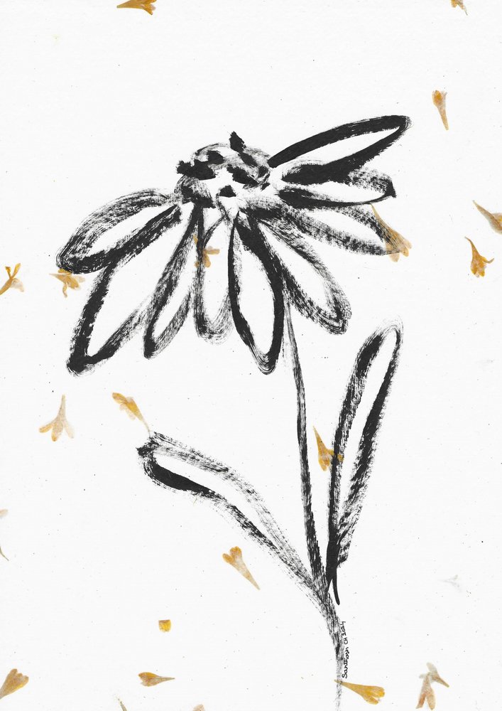 Fleur aux pétales tombants - Santhosh ch