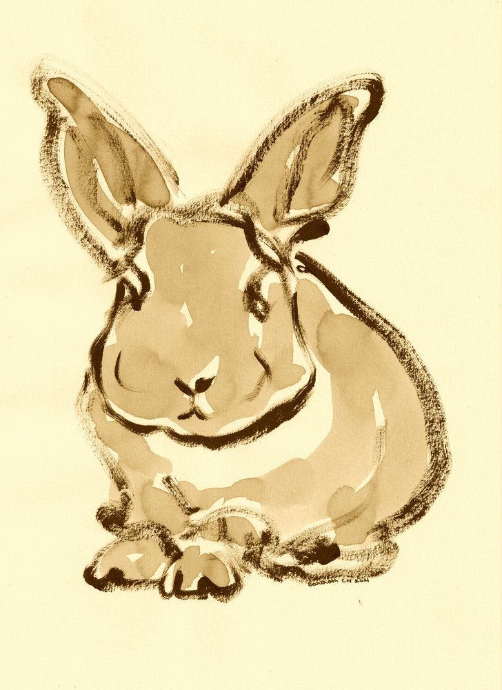 Doux croquis de lapin - Santhosh ch