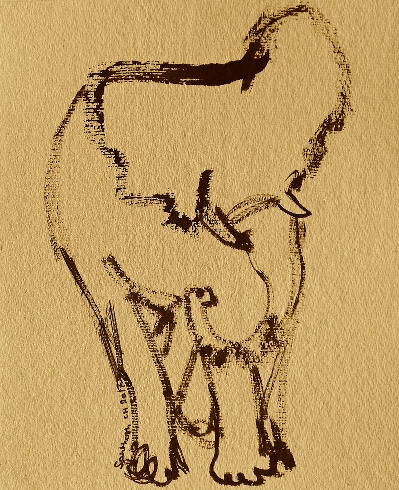Éléphant doux à l