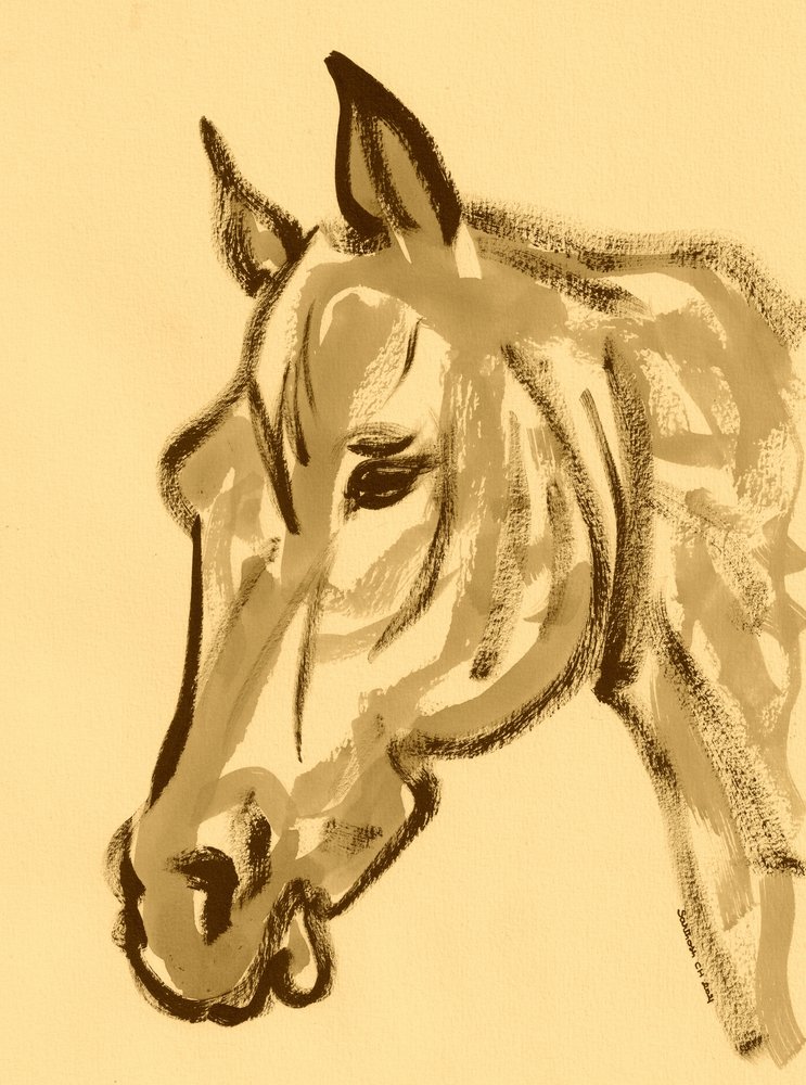 Gracieux dessin de cheval - Santhosh ch