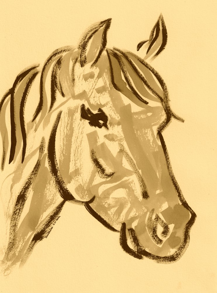 Gracieuse esquisse de cheval - Santhosh ch