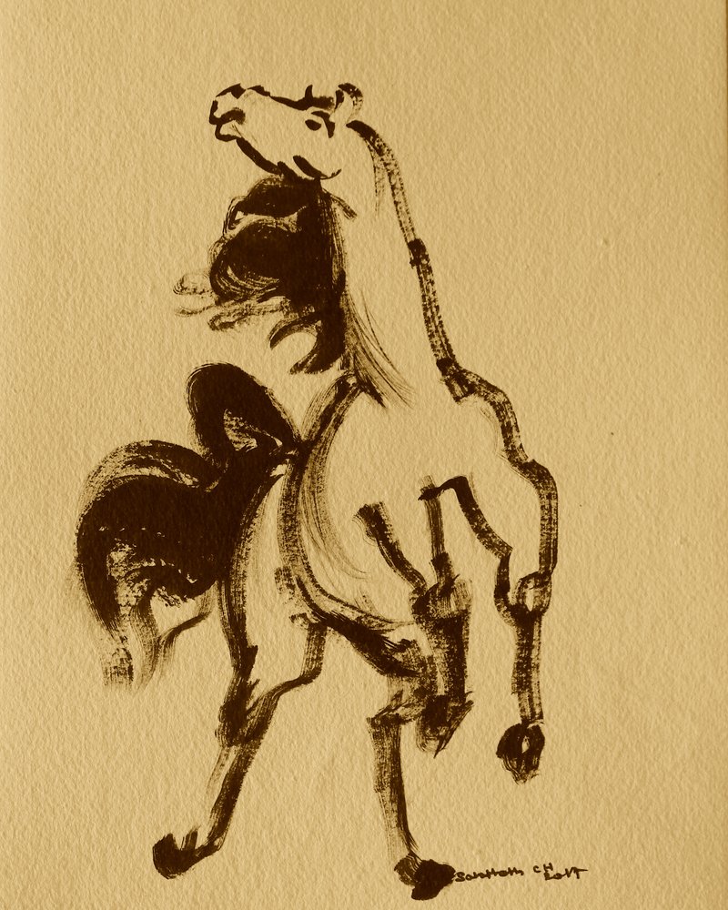 Cheval 24 - Santhosh ch