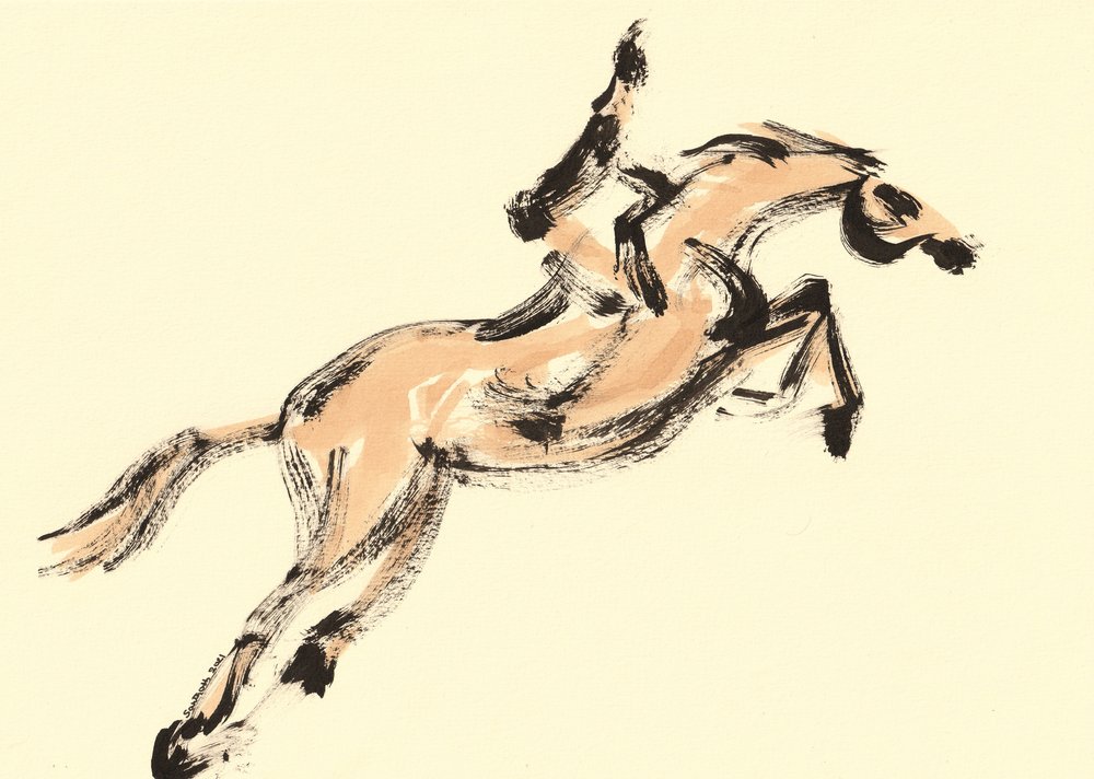 Cavalier sur un cheval sautant - Santhosh ch
