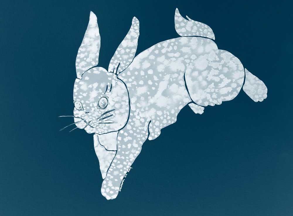 Lapin tacheté bondissant - Santhosh ch
