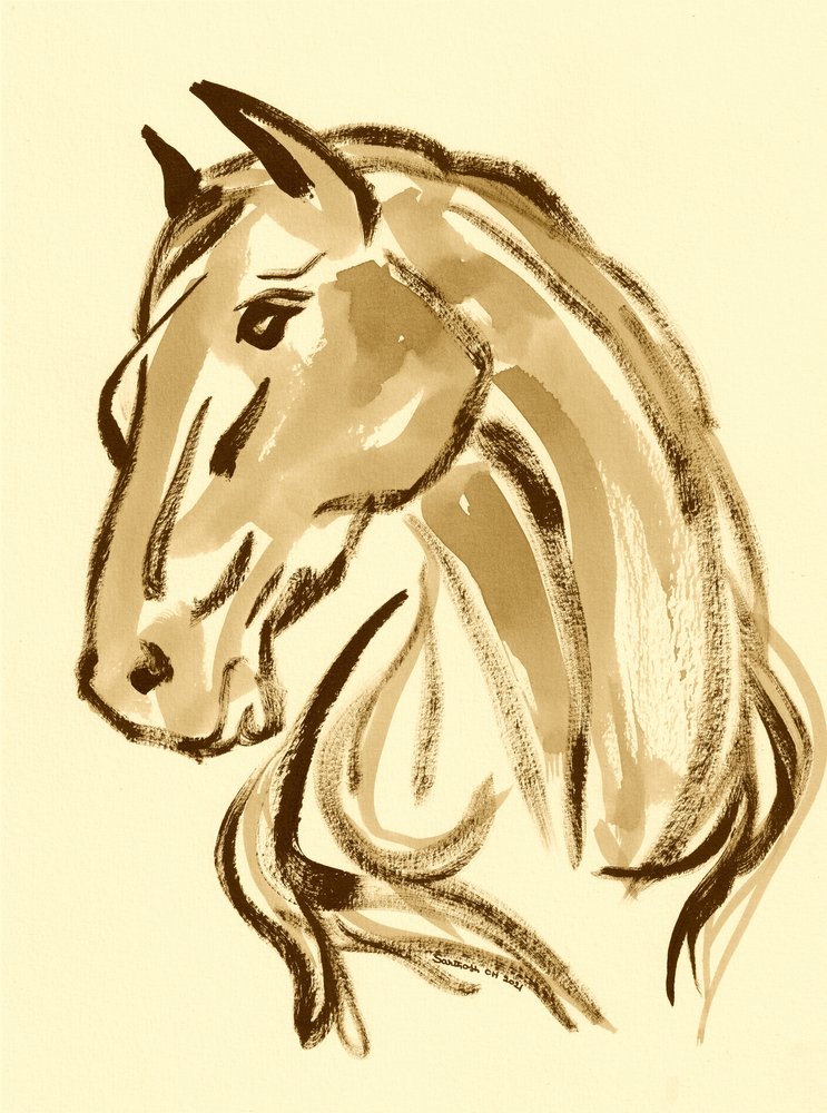 Majestueux portrait de cheval - Santhosh ch