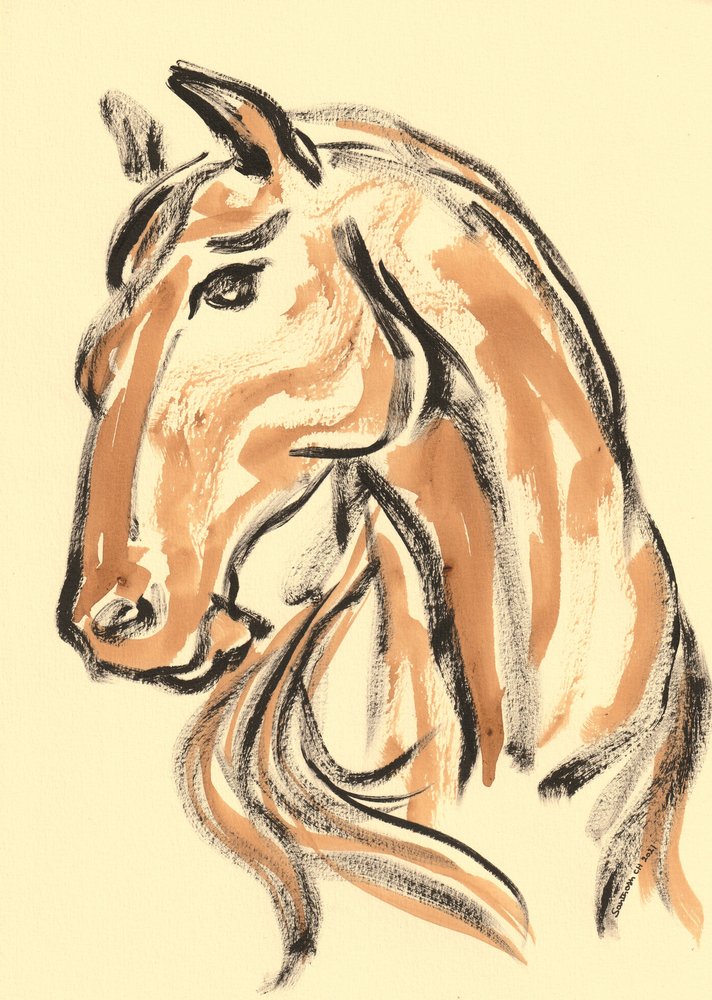 Profil majestueux de cheval - Santhosh ch