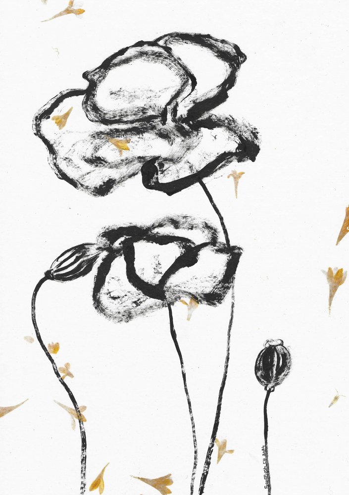 Coquelicots minimalistes au fusain - Santhosh ch