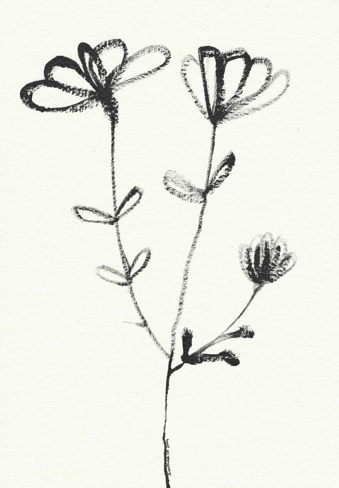 Esquisse florale minimaliste - Santhosh ch