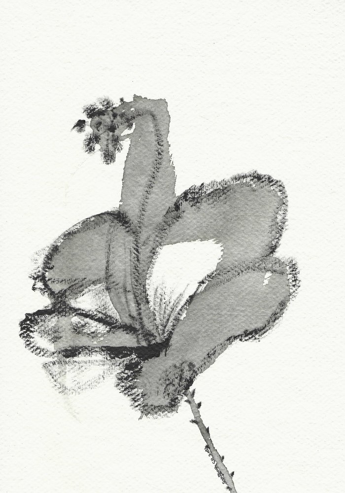Étude florale monochrome - Santhosh ch