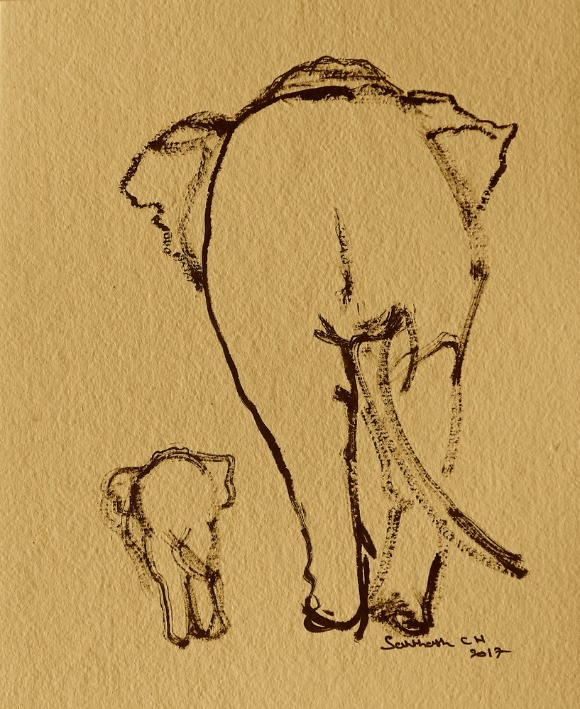 Éléphante et son petit - Santhosh ch