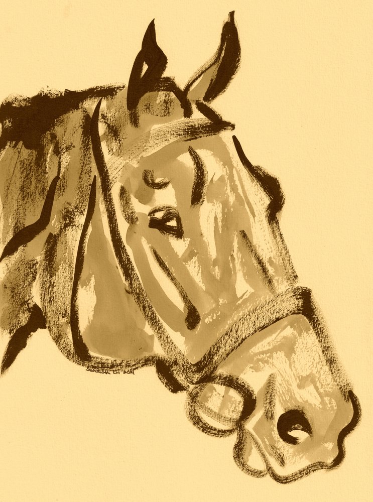 Portrait de cheval noble - Santhosh ch