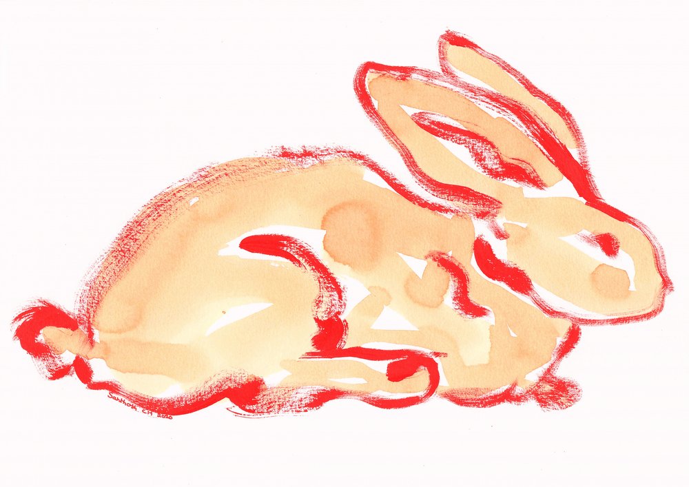 Lapin orange à l