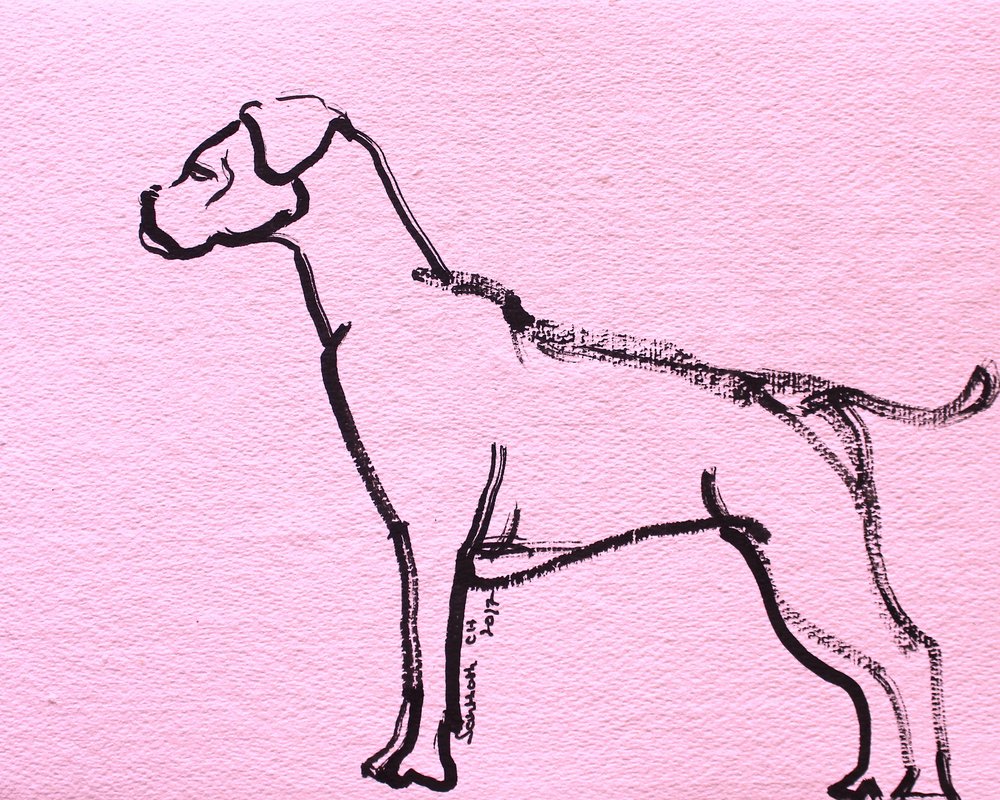 Dessin au trait de boxer rose - Santhosh ch