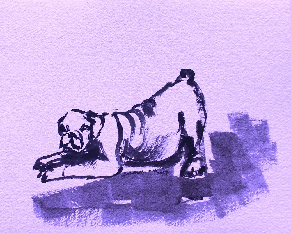 Étirement joueur du bouledogue - Santhosh ch