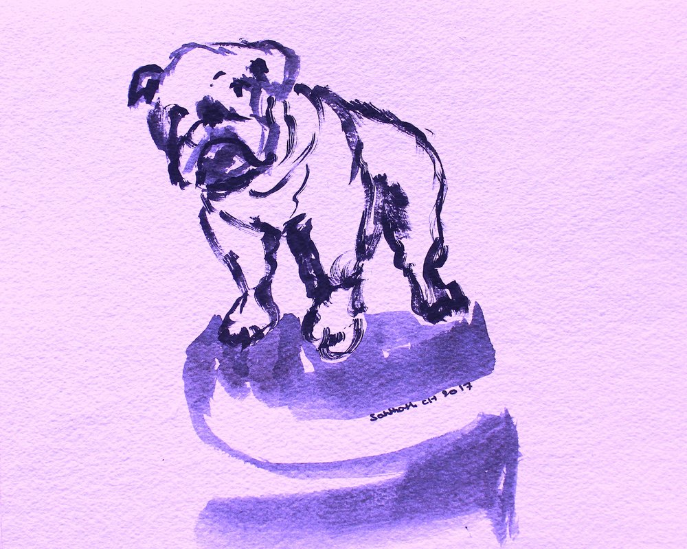 Croquis de bouledogue violet - Santhosh ch