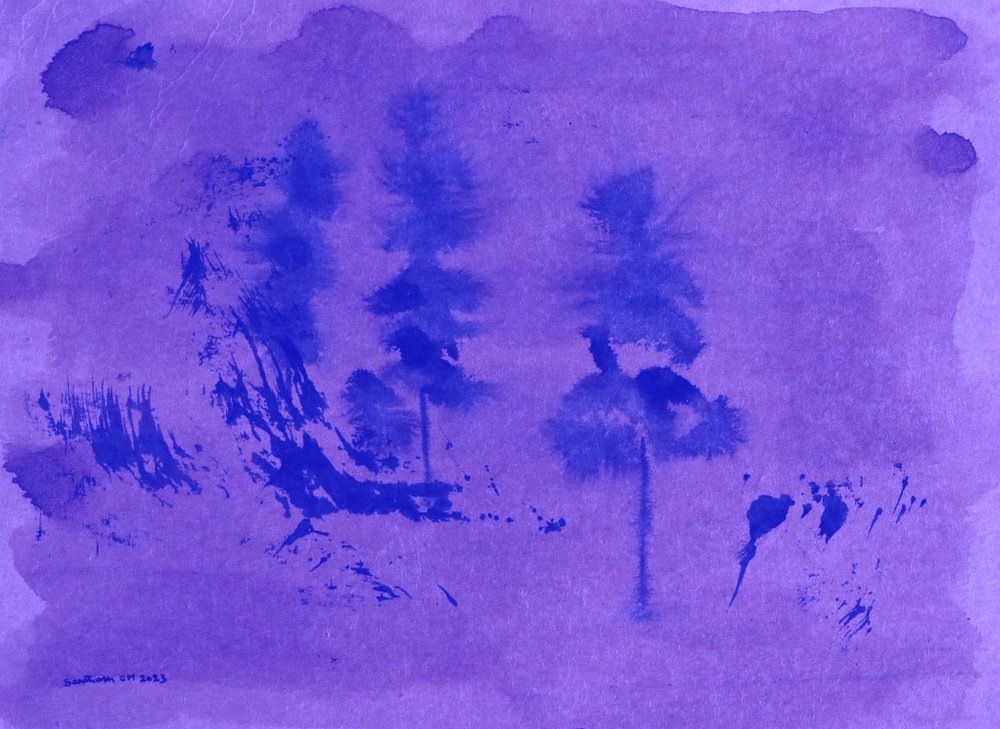 Pins dans la brume violette - Santhosh ch