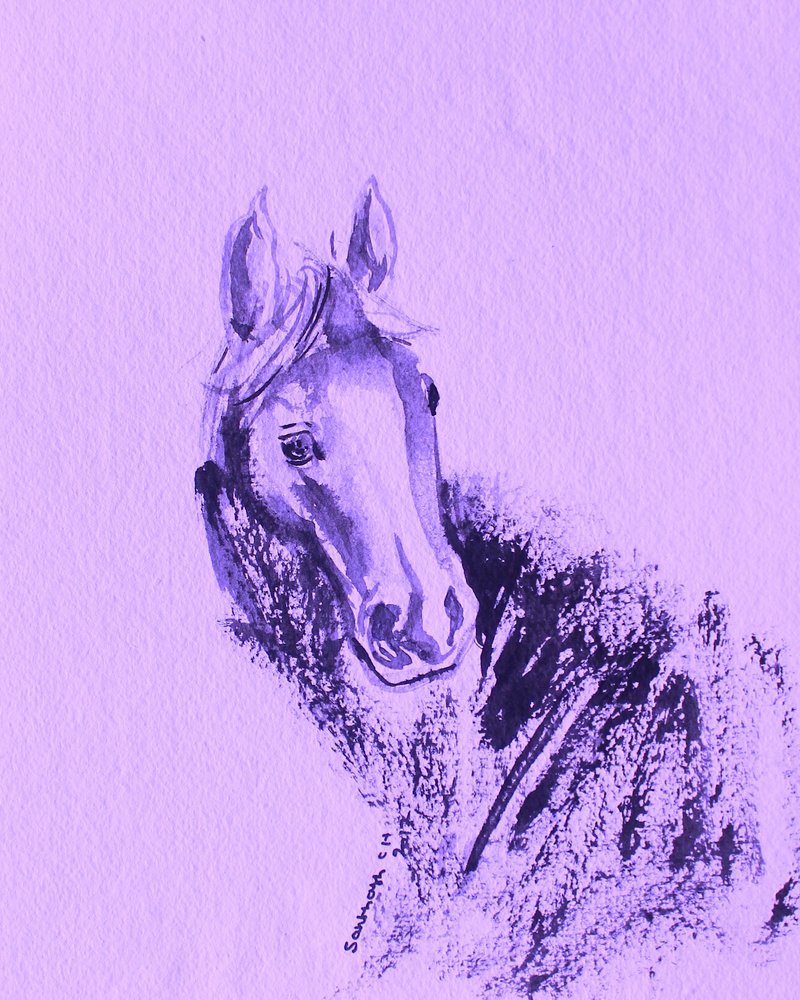 Portrait de cheval violet - Santhosh ch