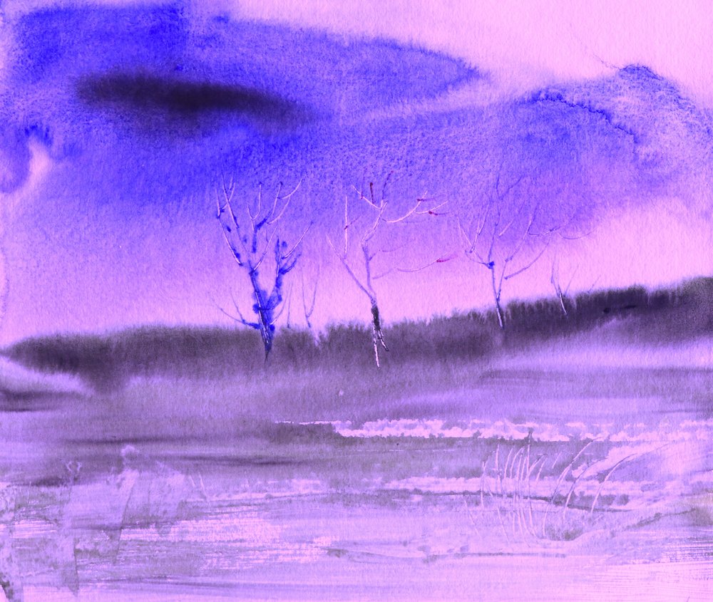 Paysage d