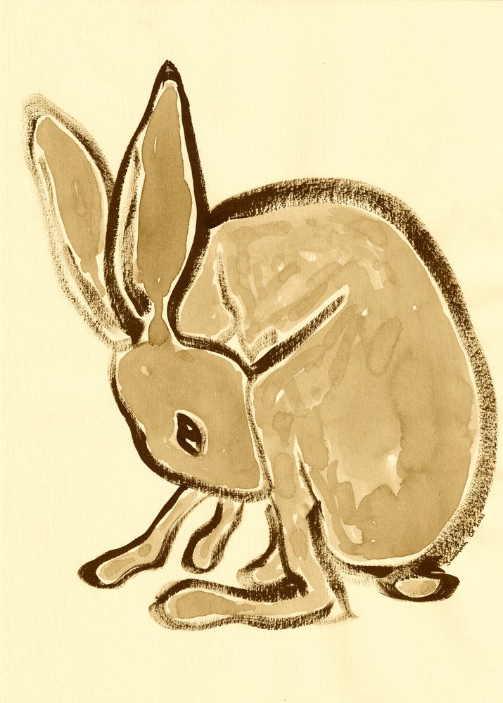 Lapin des bois tranquille - Santhosh ch