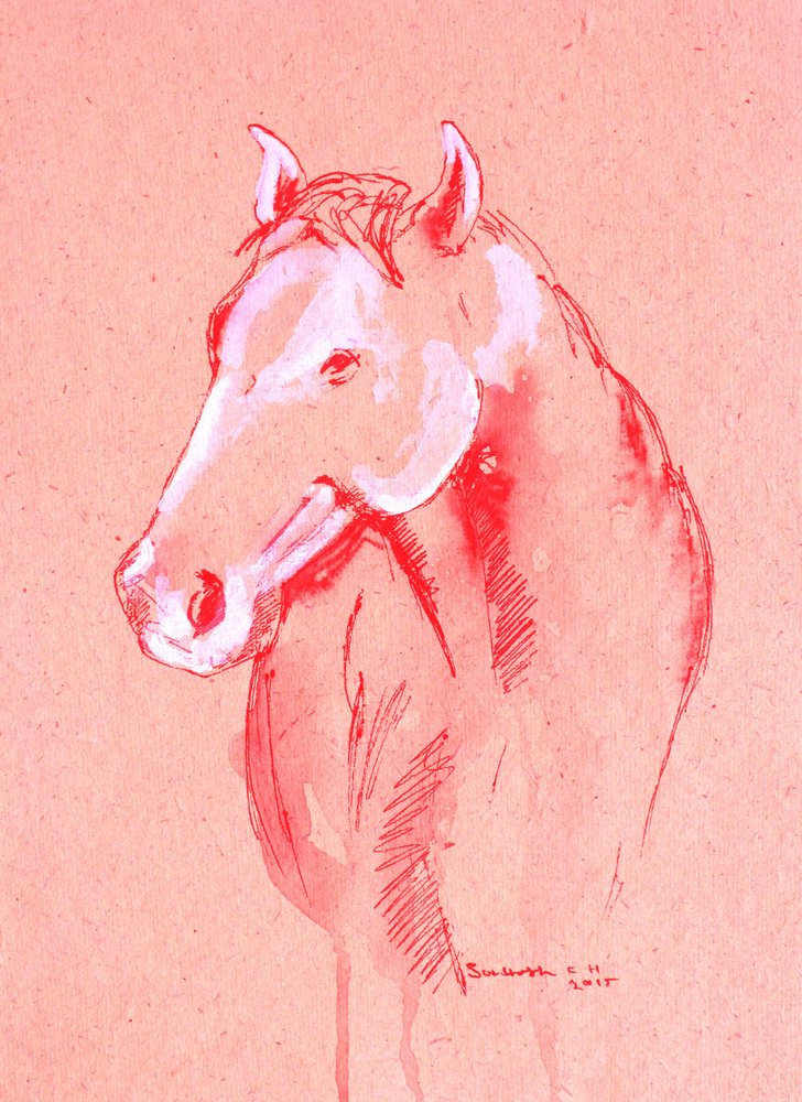 Esquisse de cheval rouge - Santhosh ch