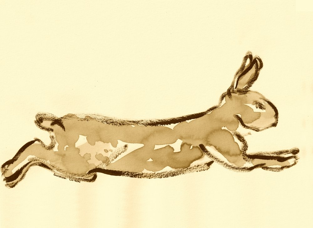 Esquisse de lapin courant - Santhosh ch