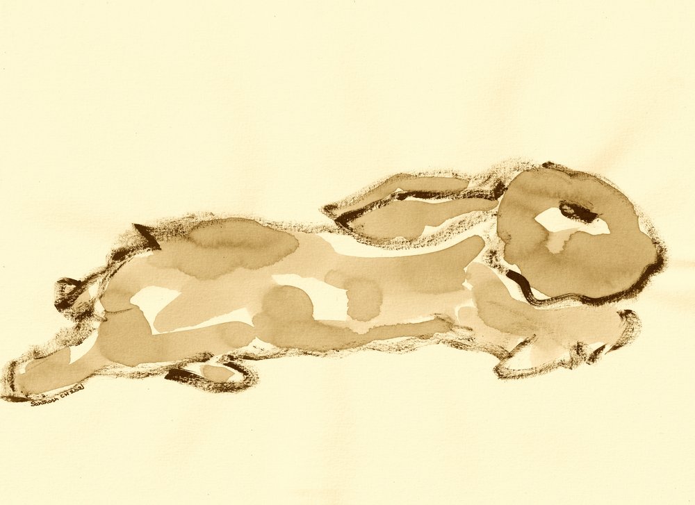 Aquarelle de lapin courant - Santhosh ch
