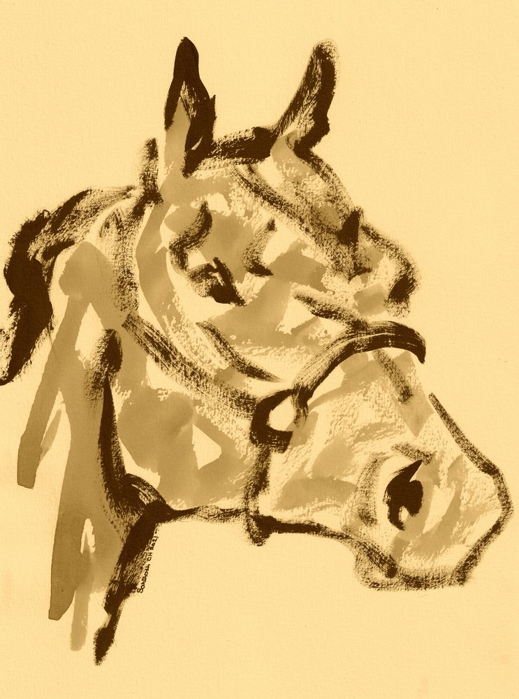 Portrait de cheval sépia - Santhosh ch