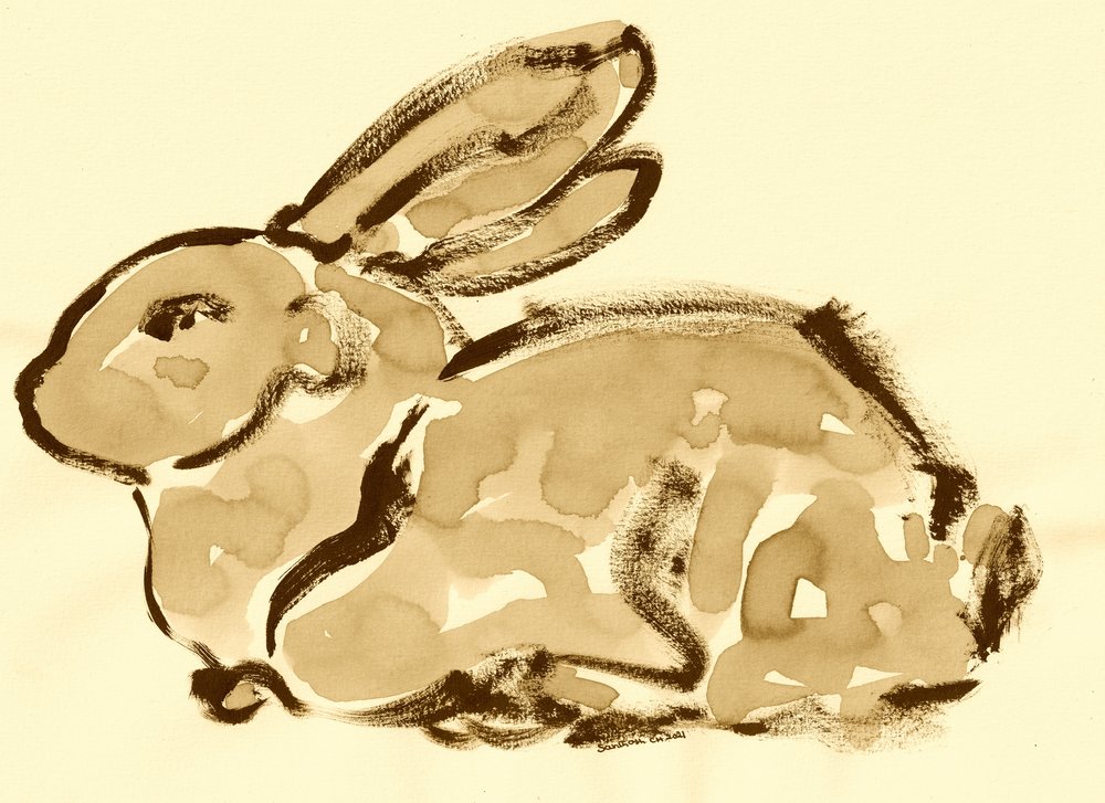 Étude de lapin en sépia - Santhosh ch