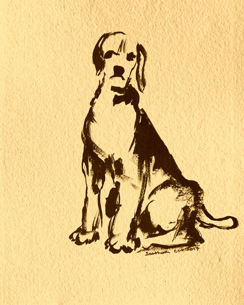 Chien assis à l