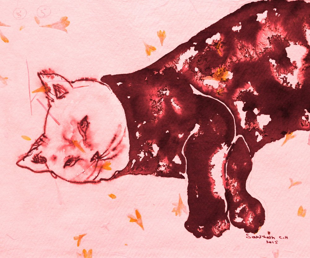 Le chat rouge endormi - Santhosh ch