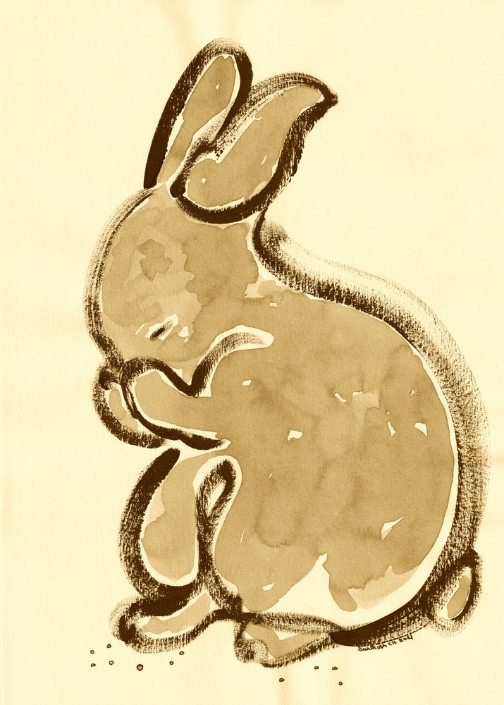 Lapin somnolent - Santhosh ch