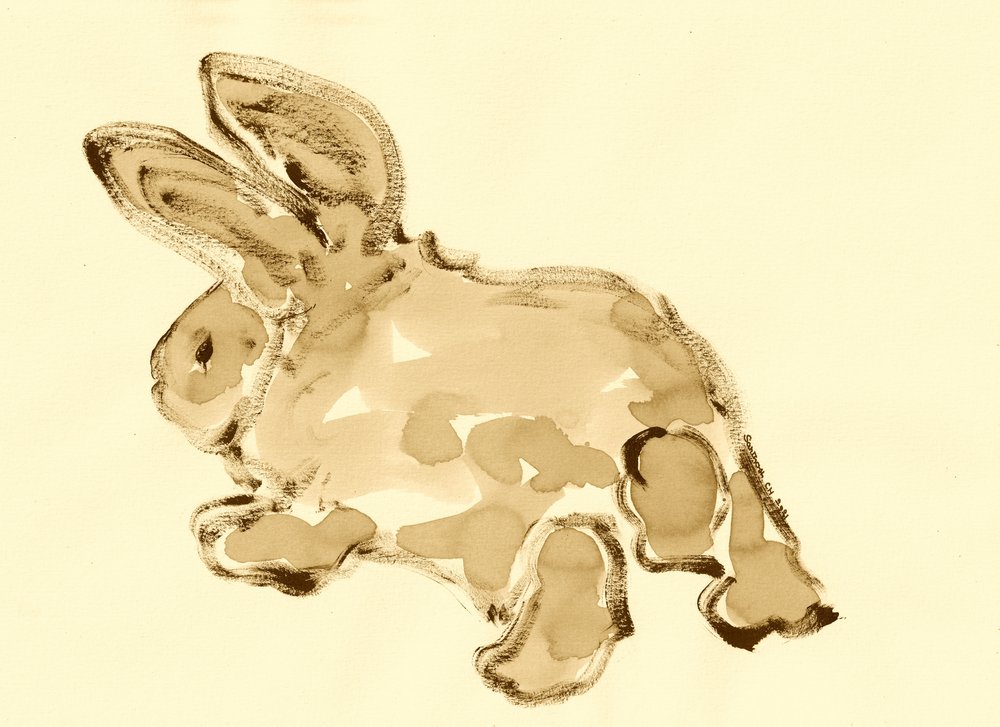 Doux lapin à l