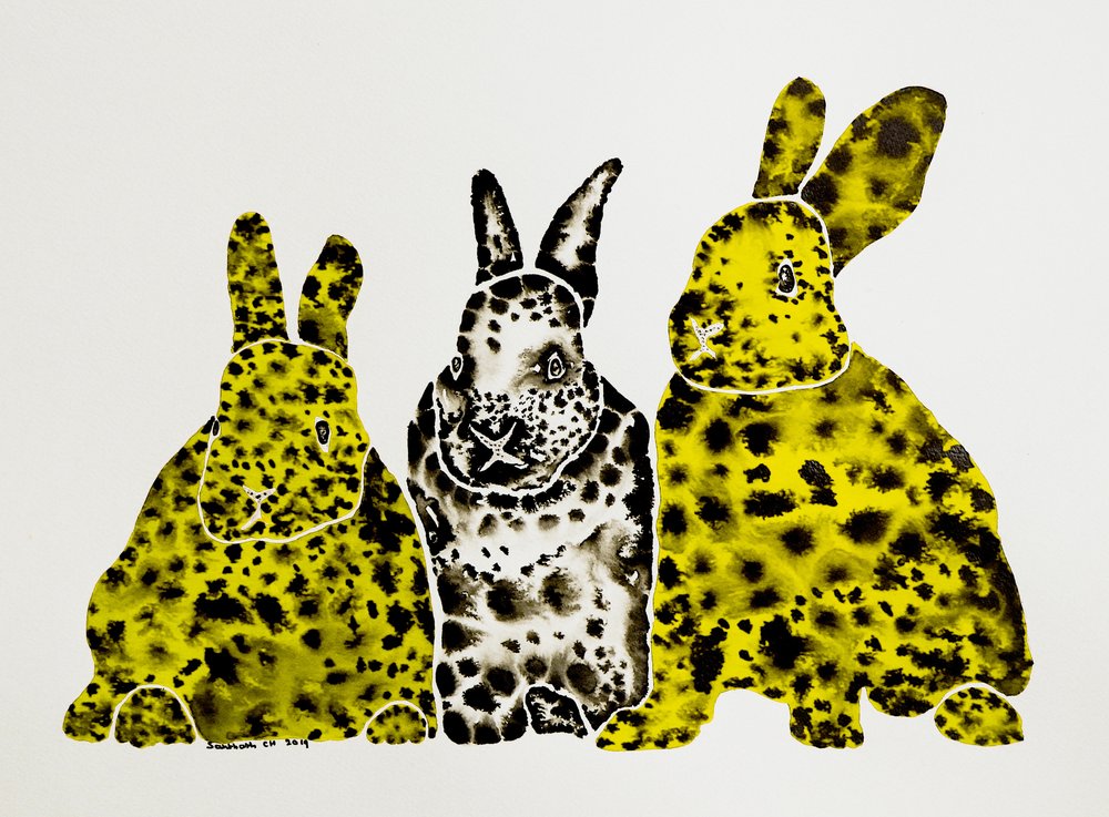 Lapins léopards tachetés - Santhosh ch