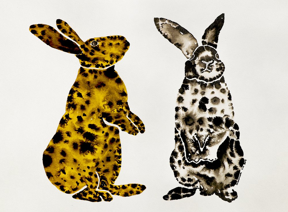 Couple de lapins tachetés - Santhosh ch