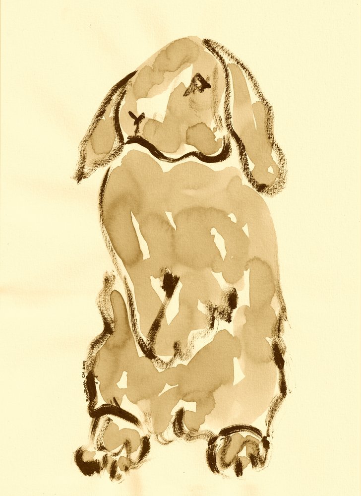 Doux dessin de lapin - Santhosh ch