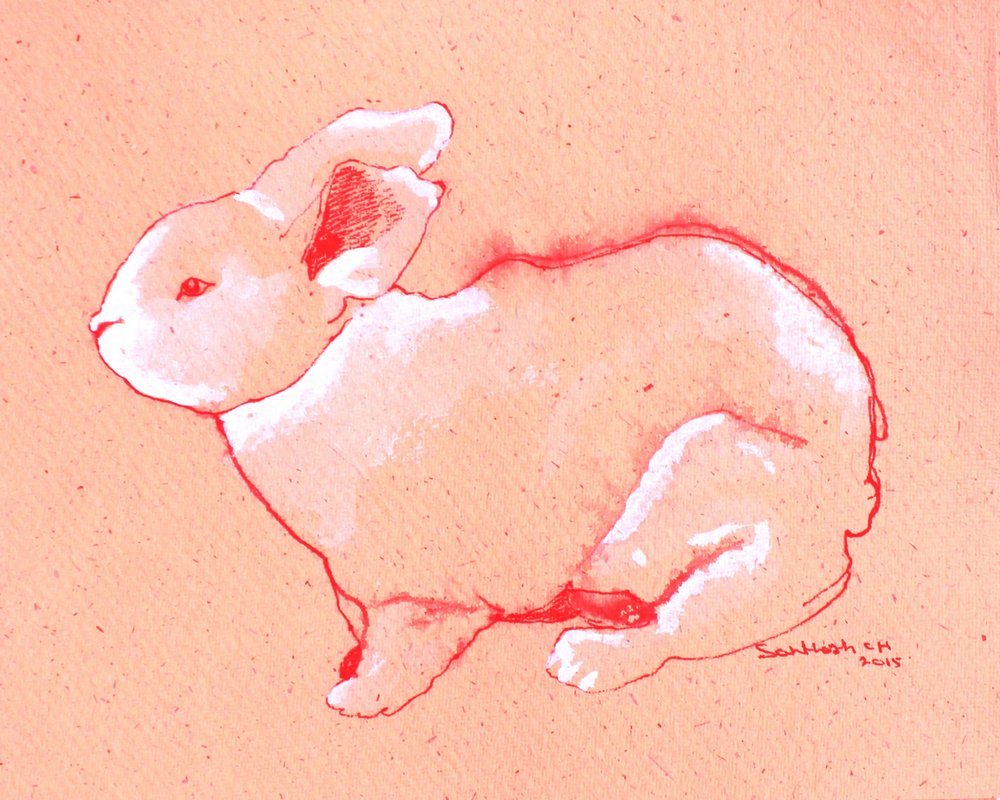 Doux petit lapin - Santhosh ch