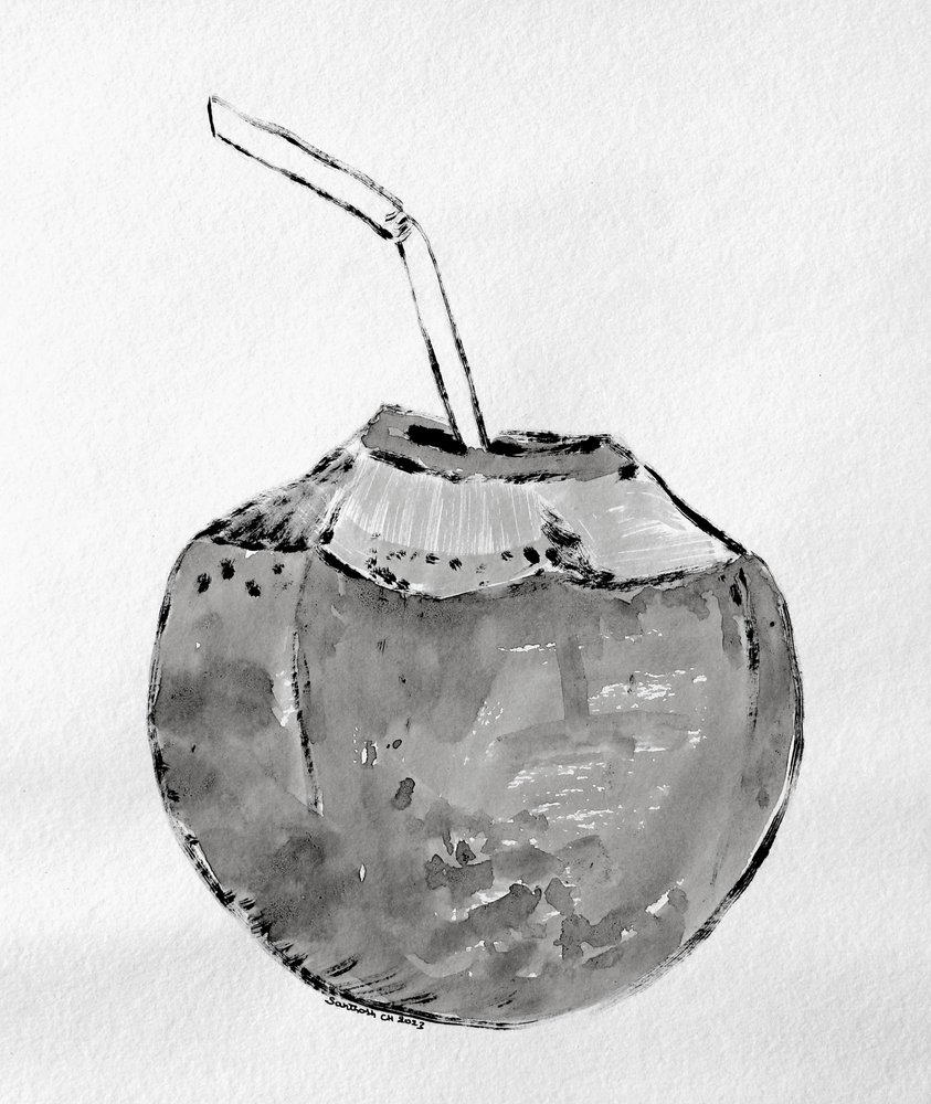 Boisson tropicale à la noix de coco - Santhosh ch