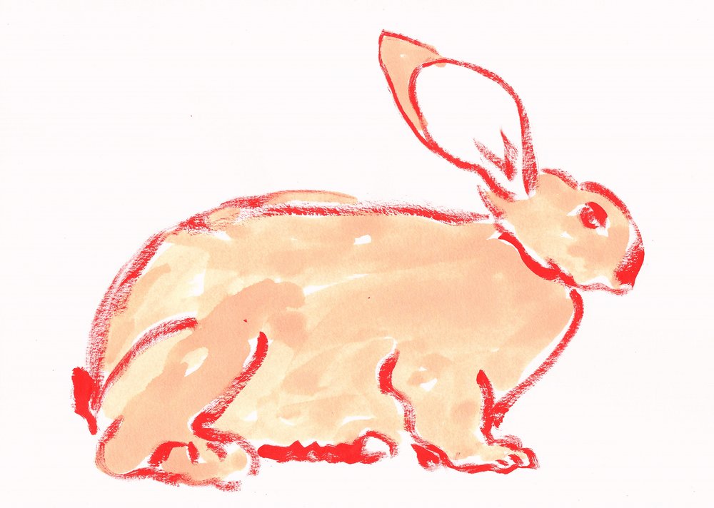 Lapin orange chaleureux - Santhosh ch