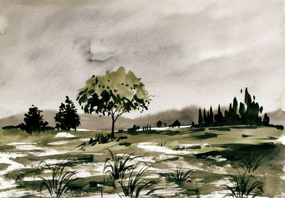 Paysage champêtre à l
