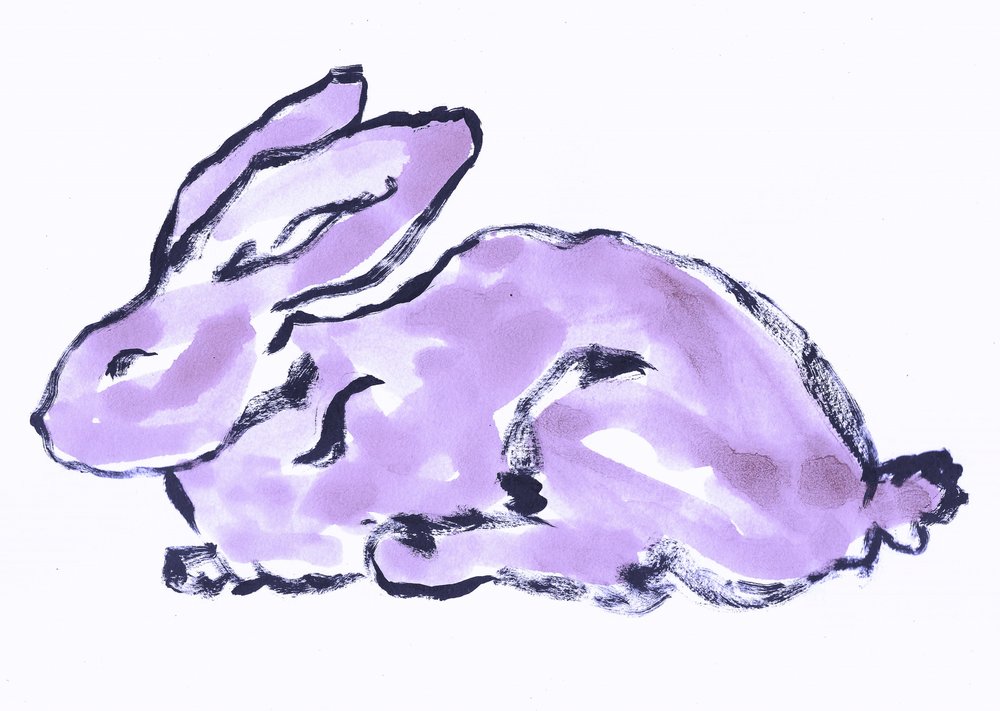 Lapin lavande fantaisiste - Santhosh ch