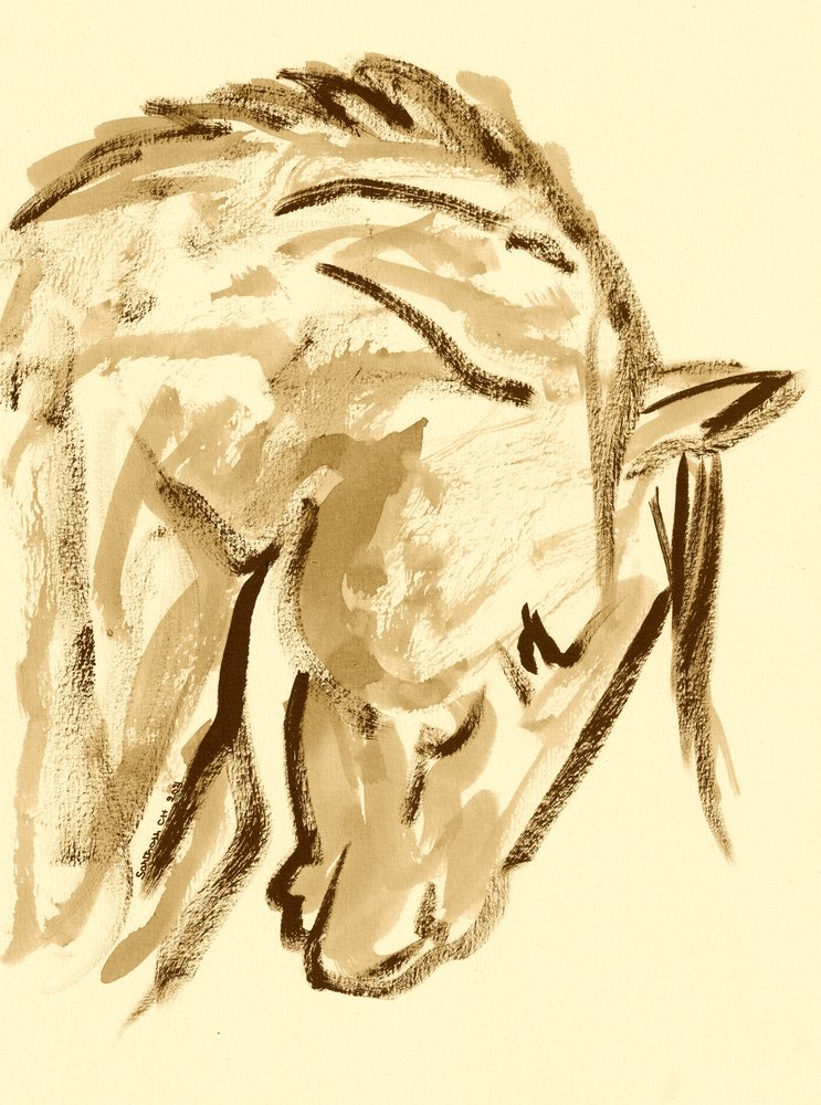 Esquisse de cheval sauvage - Santhosh ch