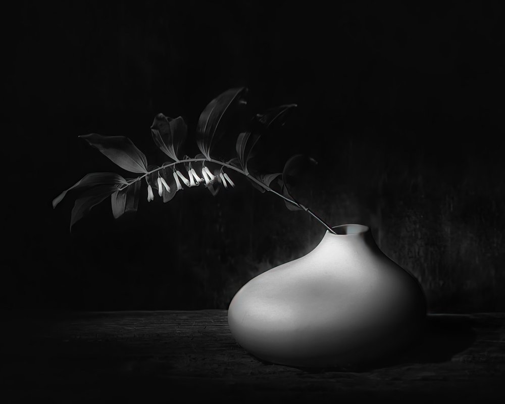 Nature morte botanique sombre - Saskia Dingemans