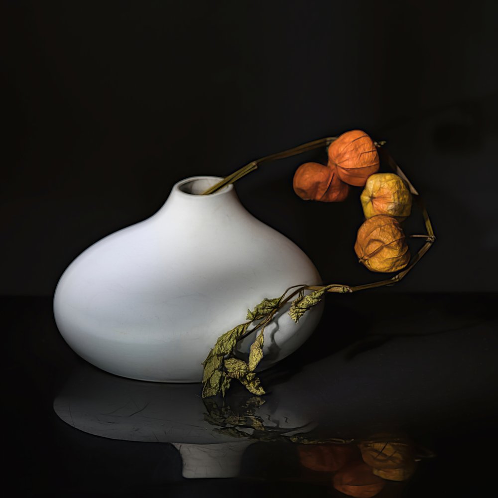 Nature morte élégante aux physalis - Saskia Dingemans