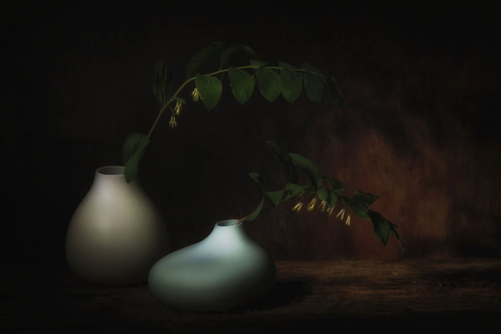 Nature morte botanique sereine - Saskia Dingemans