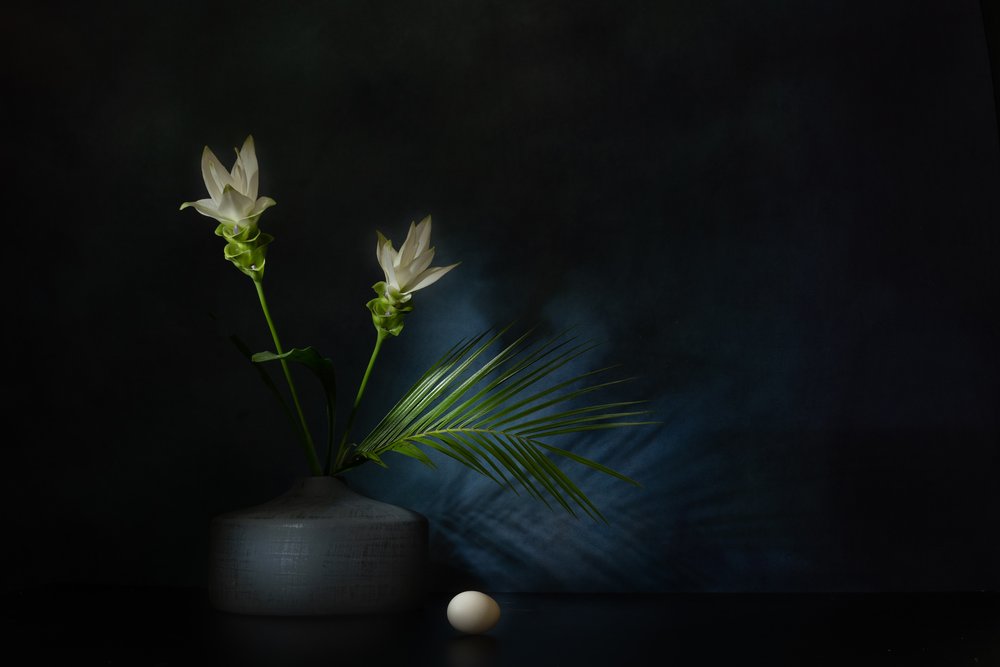 Fleurs blanches – Nature morte sombre - Saskia Dingemans