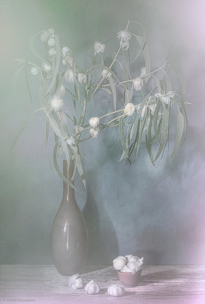 Lueur hivernale. - Saskia Dingemans