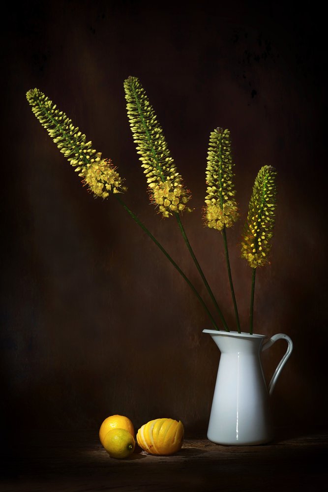 Fleurs jaunes et citrons - Saskia Dingemans