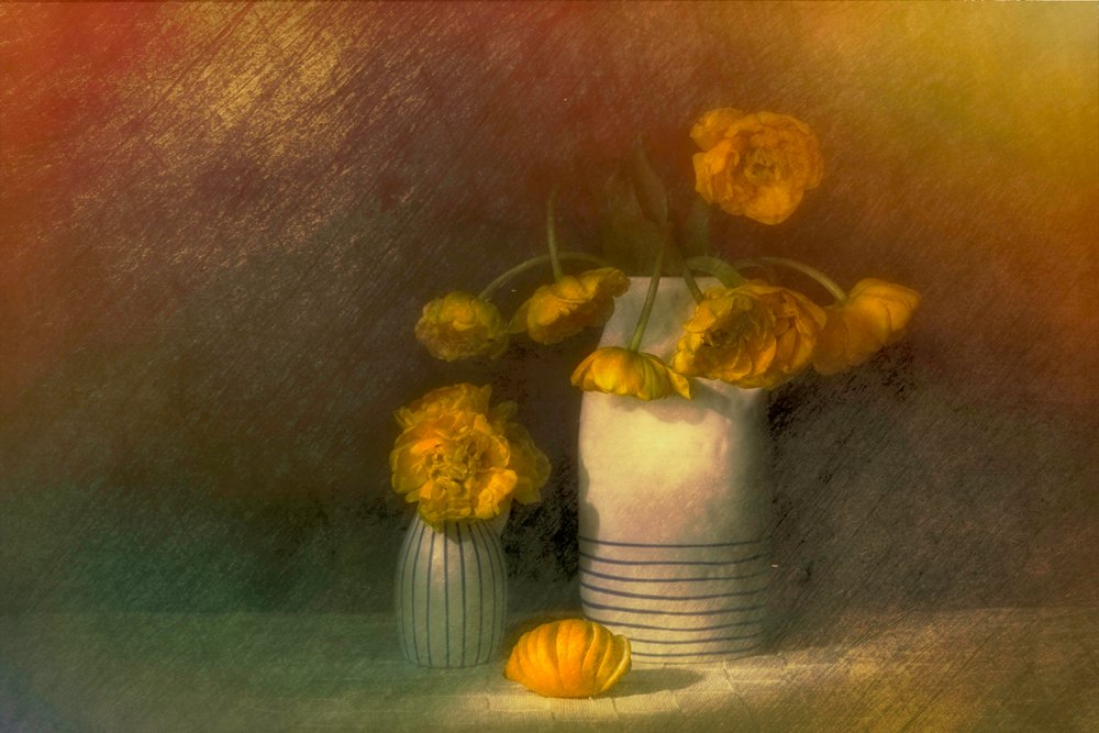 Nature morte aux renoncules jaunes - Saskia Dingemans