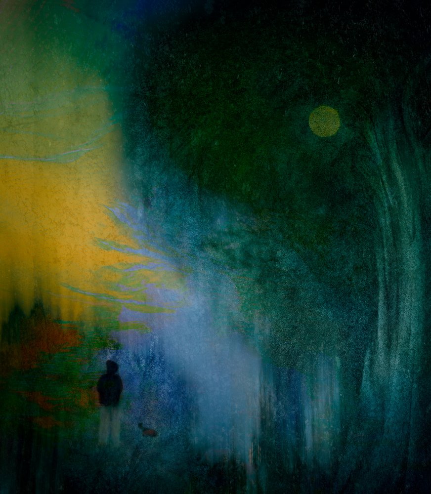Sentier solitaire au clair de lune - Shenshen Dou