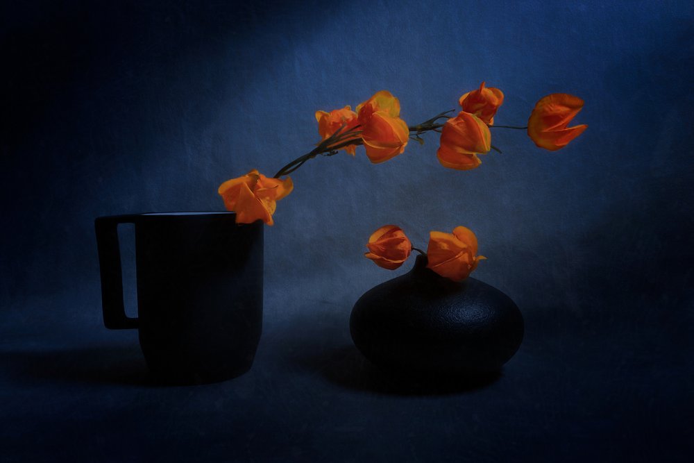 Nature morte aux lanternes d